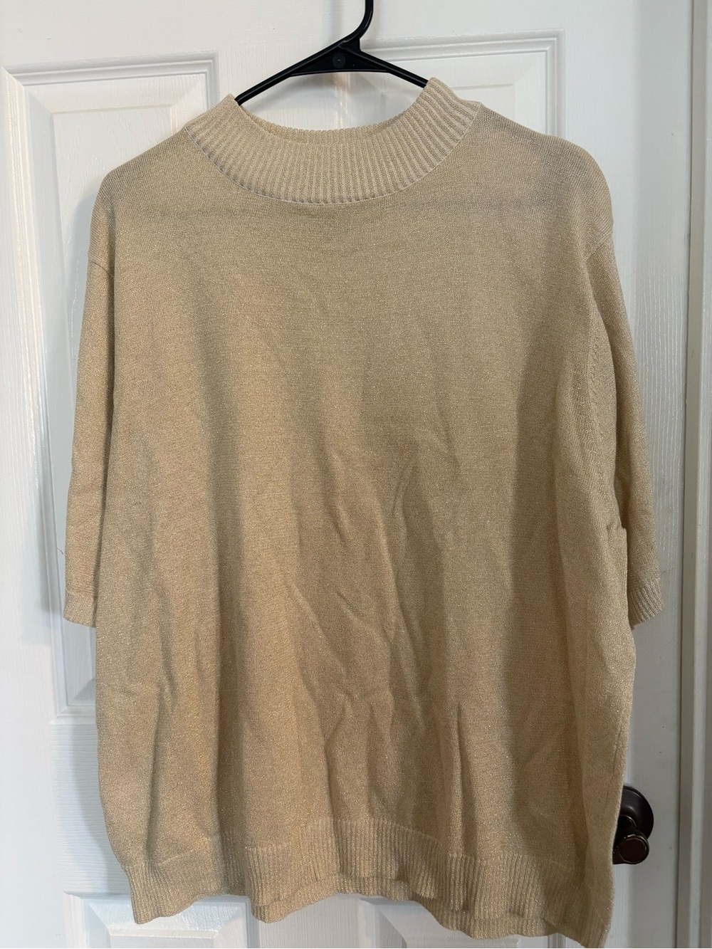 Bon Worth XL shimmering Cream Short-Sleeve Crewneck Sweater